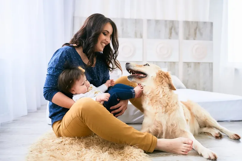 Niñera jugando con un bebé y un golden retriever, foto del sitio Bluesky Sitters